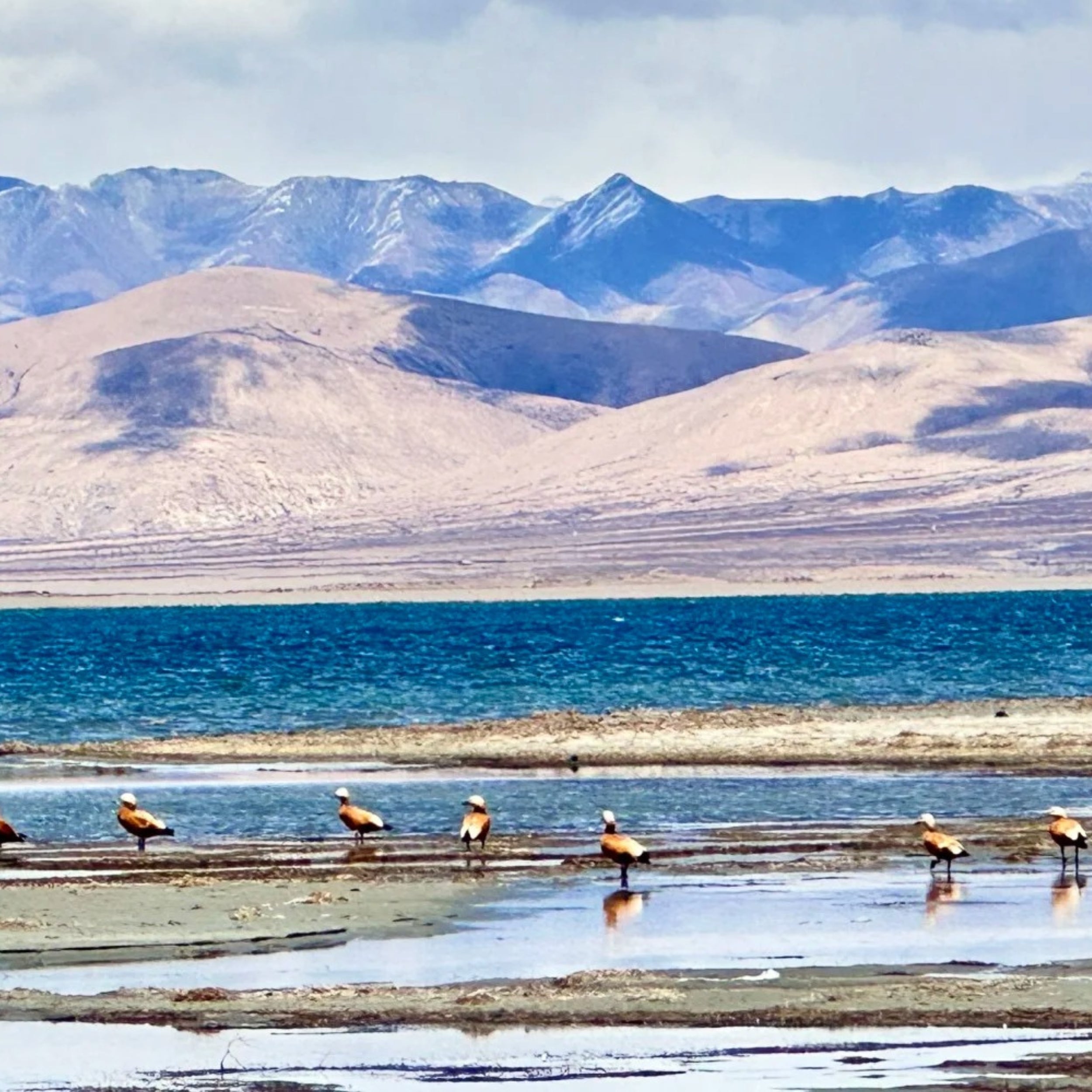 Mystic Realm Tibetan Incense