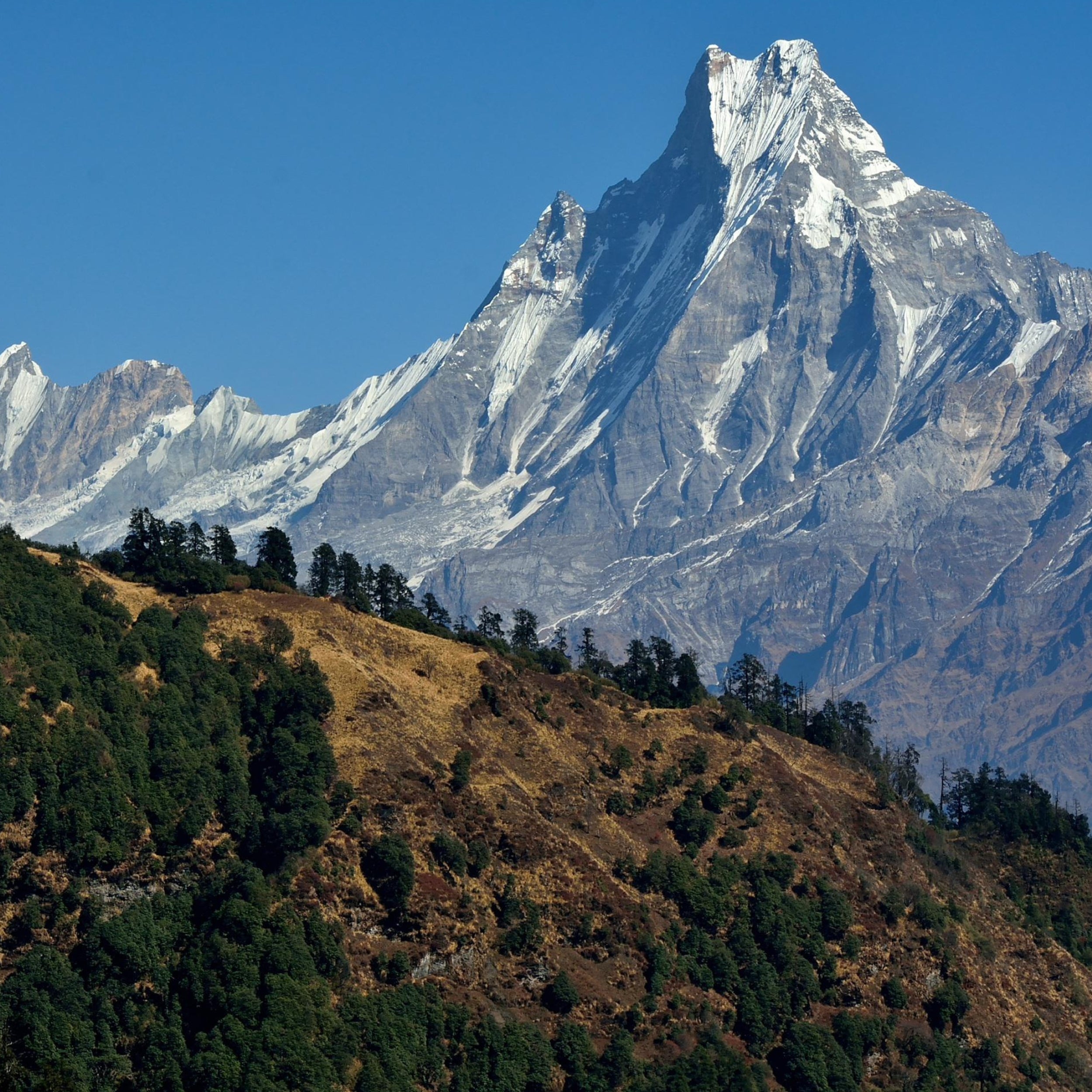 Mountain Spirit Tibetan Incense