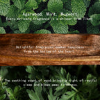 Tara Incense Series | Tibetan Natural Incense Set | Fortune, Aegis, Serenity, Wisdom & Wealth | Handcrafted Cultural Aromatherapy for Meditation & Ambient Balance